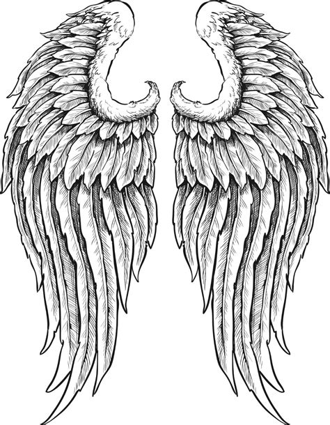 drawing of angel wings